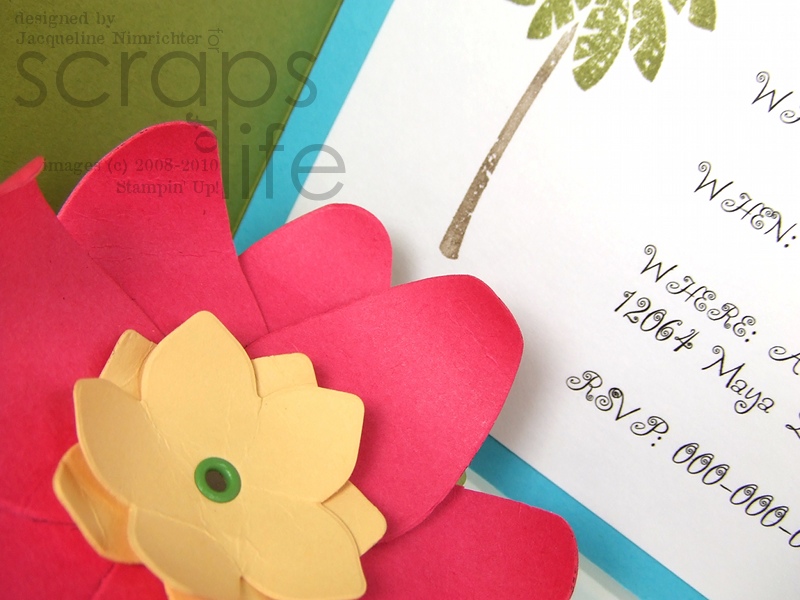 Island oasis recipes